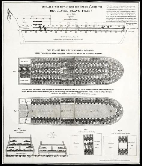 Slave Ship Middle Passage Stowage Diagram 1788 Photograph by Daniel Hagerman