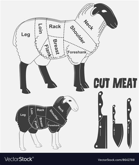 Sheep Cuts Of Meat Chart Vector Lamb Cuts Diagram Illustrations ...