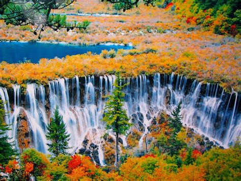 Top 5 most beautiful fall foliage destinations in Asia & Australia - Living + Nomads – Travel ...