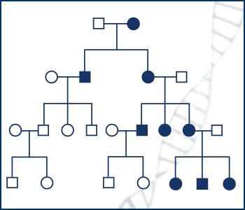 Transgenerational Epigenetic Inheritance | The Microcosm Within