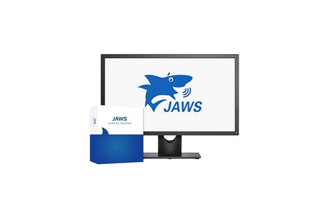 JAWS Screen Reader Basics and Introduction