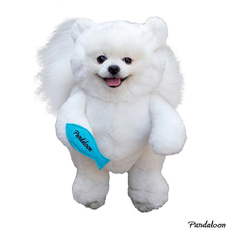 Pandaloon Walking Polar Bear Dog and Pet Costume - AS SEEN ON SHARK TA