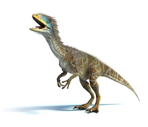 Guanlong | TyrannoPedia Wiki | FANDOM powered by Wikia