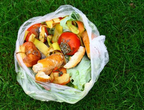 Is compostable packaging a load of rubbish? - Packer