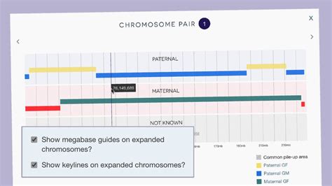 New gridlines and enhanced chromosome view in maps | DNA Painter Blog