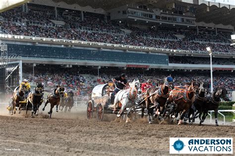 Calgary Stampede 2024 Events - Robyn Christye