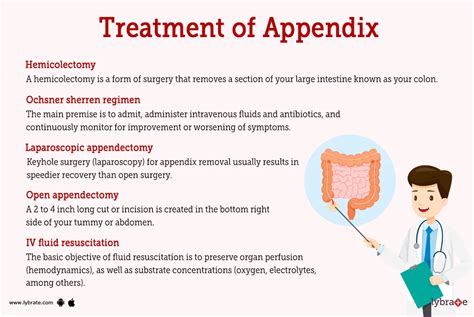 Appendix (Human Anatomy): Picture, Function, Diseases, Tests, and ...