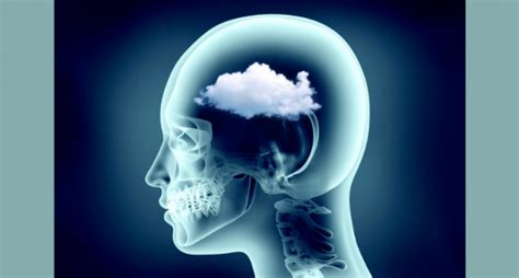 Fibromyalgia Brain-Fog | Arthritis NSW