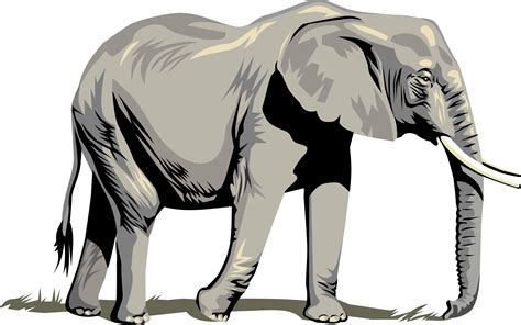 Free Republican Elephant Vector - ClipArt Best