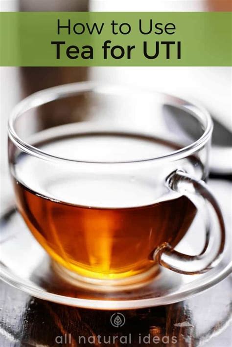 How to use tea for UTI | Apple cider vinegar remedies, Uti apple cider vinegar, Herbal remedies