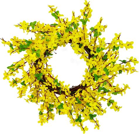 Amazon.com: Yellow Forsythia Wreaths for Front Door, Yellow Spring ...