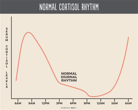 Cortisol Hormone: Its Role In Stress, Inflammation, And Weight Gain ...