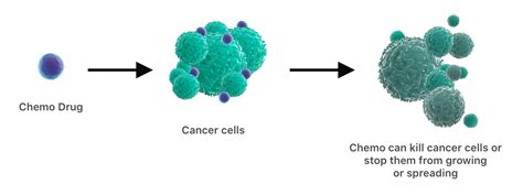 Taxotere | Understanding the Chemotherapy Drug Docetaxel