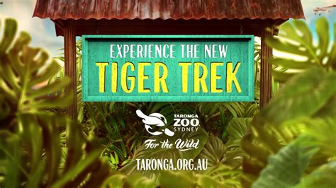 Step into Sumatra at Taronga Zoo’s new TIGER TREK - YouTube