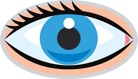 Eye clipart. Free download transparent .PNG | Creazilla