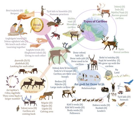 Top 98 + How to tell wild animals mind map - Inoticia.net