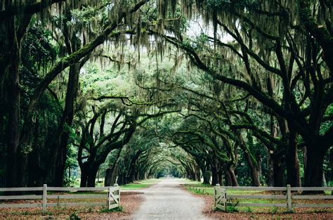 Free Things to do in Savannah, GA | Savannah chat, Travel bucket list ...