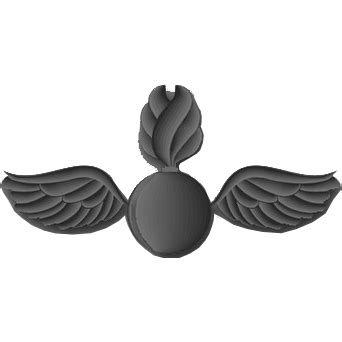 Navy Aviation Ordnanceman Rating