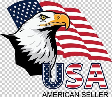 Bald Eagle United States Logo PNG, Clipart, Artwork, Bald Eagle, Beak ...