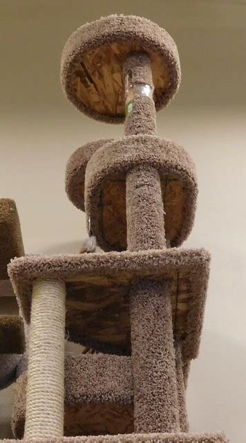 ODCtall1 | Tall cat scratching post. | FolsomNatural | Flickr