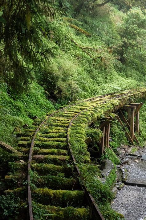 Abandoned Train, Abandoned Buildings, Abandoned Places, City Buildings ...