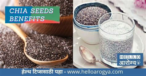 Chia Seeds Benefits In Marathi find out top 10 Benefits