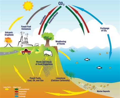 Climate Science Investigations South Florida - Causes of Climate Change