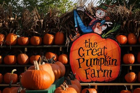 The 24th Annual Fall Festival at the Great Pumpkin Farm in Clarence Kicks off with Armed Forces ...