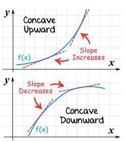 What are Convex and Concave Curves? - Stat Mania English