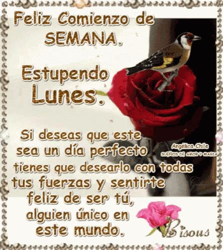 Feliz Comienzo De Semana Estupendo Lunes GIF - Feliz Comienzo De Semana Estupendo Lunes Have A ...