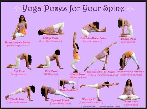 Yoga Poses for a Healthy Spine