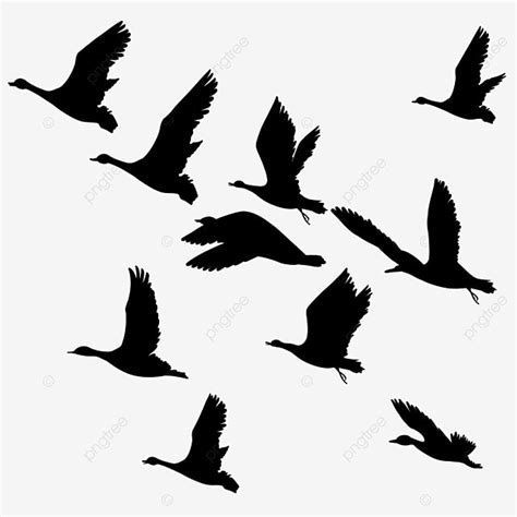 Gooses Flying Silhouette PNG Transparent, Hand Drawn Style Wild Goose ...