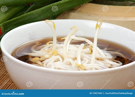 Japanese style noodle soup stock photo. Image of food - 12927562