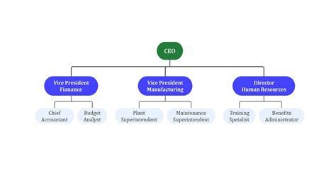 Organizational Chart Template | EdrawMind