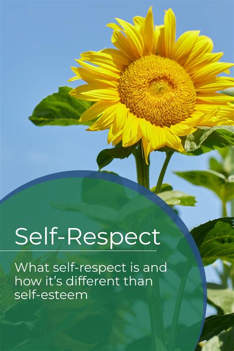 What is Self-respect, a Definition | Rooted in Decency