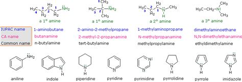 Amine Reactivity | Organic chemistry, Engineering exam, Chemistry