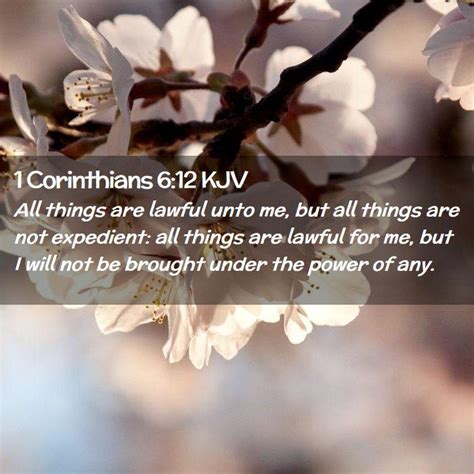 1 Corinthians 6:12 KJV - All things are lawful unto me, but all things are