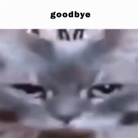 Goodbye Cat GIF - Goodbye Cat Cute - Discover & Share GIFs