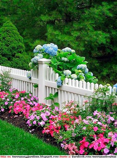 UN JARDÍN CON FLORES HORTENSIAS : TERRAZAS Y JARDINES: FOTOS DE ...