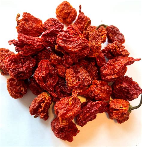 Dried Carolina Reaper Pepper- Extremely Spicy | GoldenTLeaf