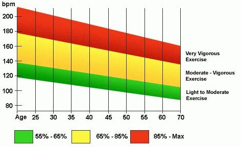 Normal Heart Rate Range While Exercising - Exercise Poster