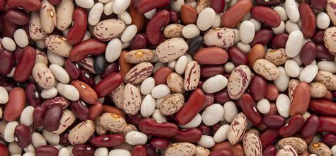 Dry Bean Varieties - Michigan Beans