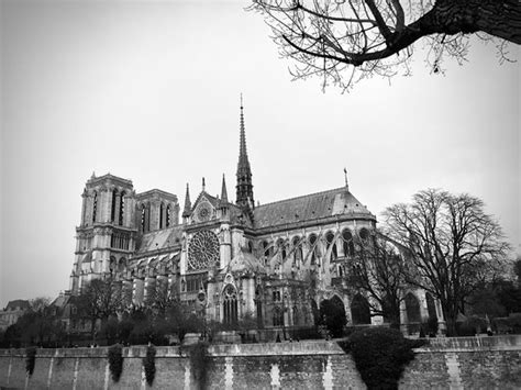 Notre Dame Cathedral (Paris) - All You Need to Know Before You Go (with Photos) - TripAdvisor