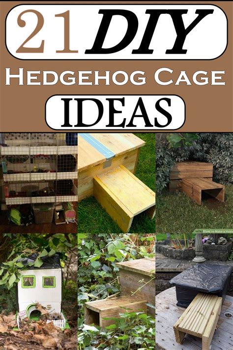 21 DIY Hedgehog Cage Ideas For Outdoor And Indoor - Craftsy