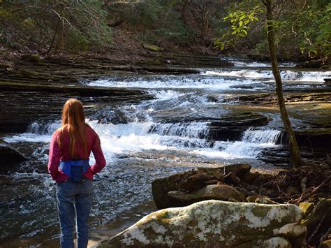 Hiking Trails in Chattanooga, TN | Hiking trails, Hiking, Hiking ...