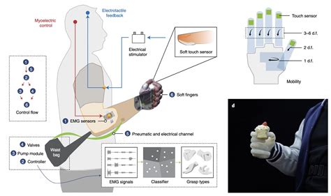 Nature Biomedical Engineering on Twitter: "A soft and lightweight ...