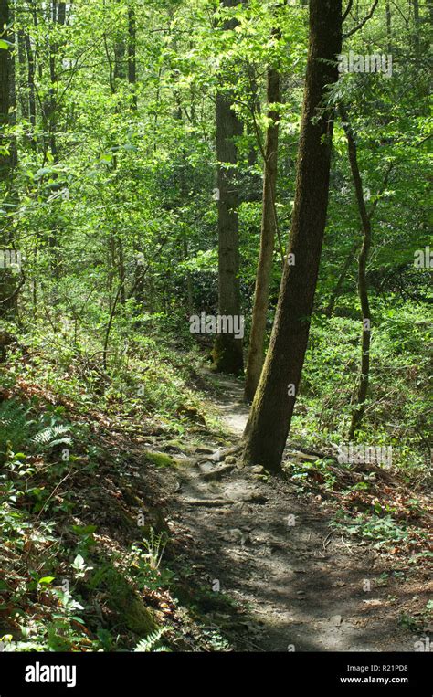 Wilderness Road Historic Kentucky High Resolution Stock Photography and Images - Alamy