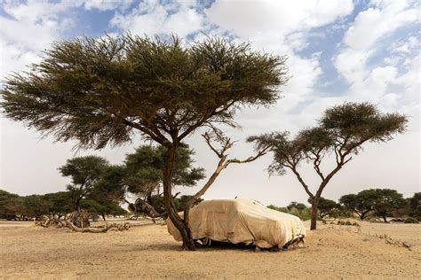 African Parks Network 2019 — Brent Stirton