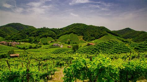 Veneto Wine Region - Wine Regions of Italy | Wine-Searcher