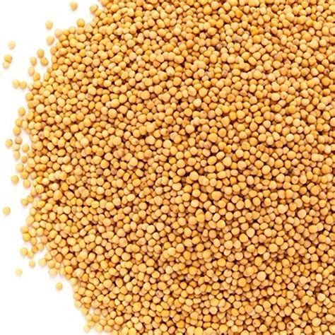 Whole Yellow Mustard Seeds All Natural by Its Delish, 5 lbs - Walmart ...